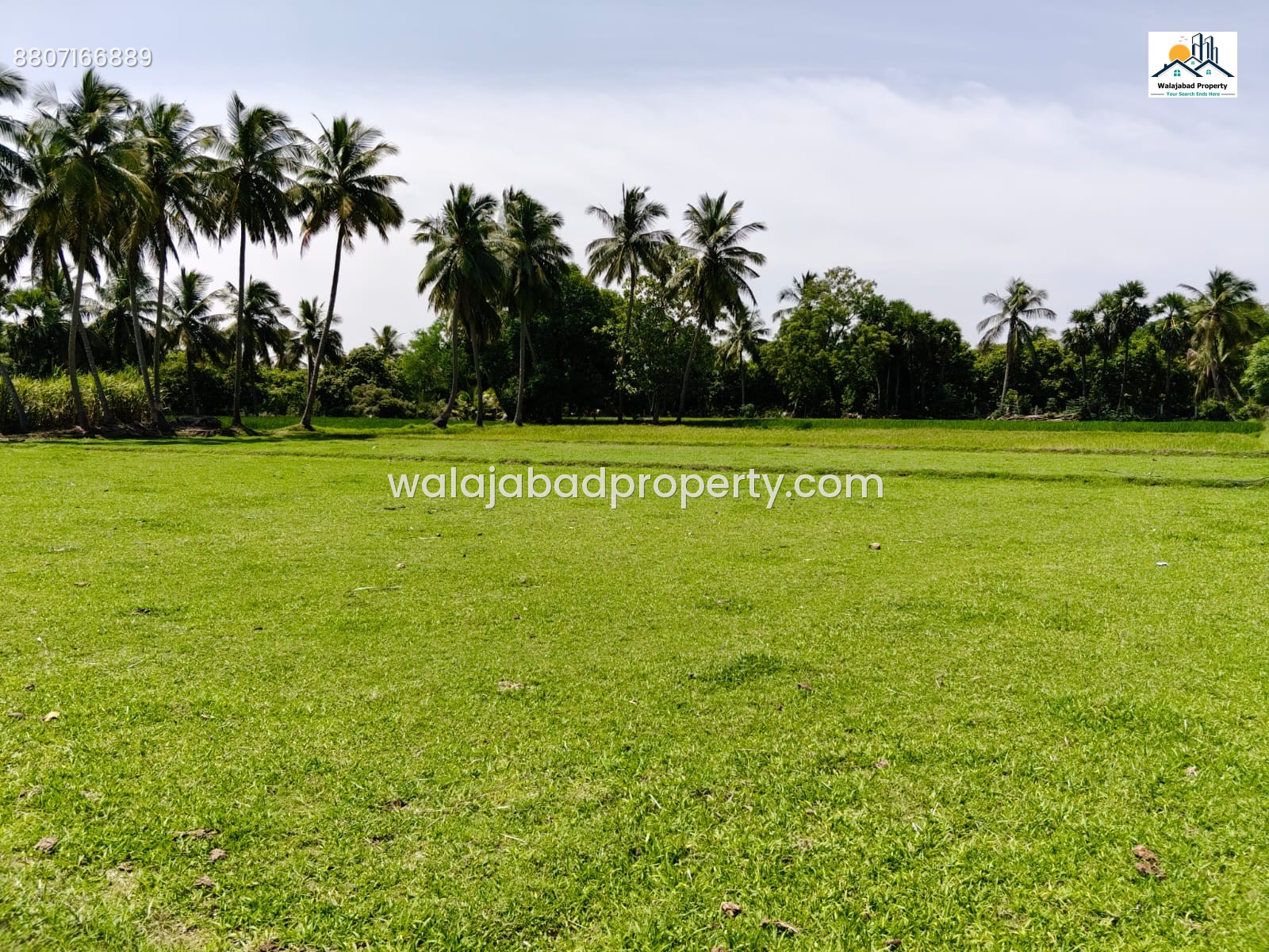 Walajabad uttukadu - Vijaya garden